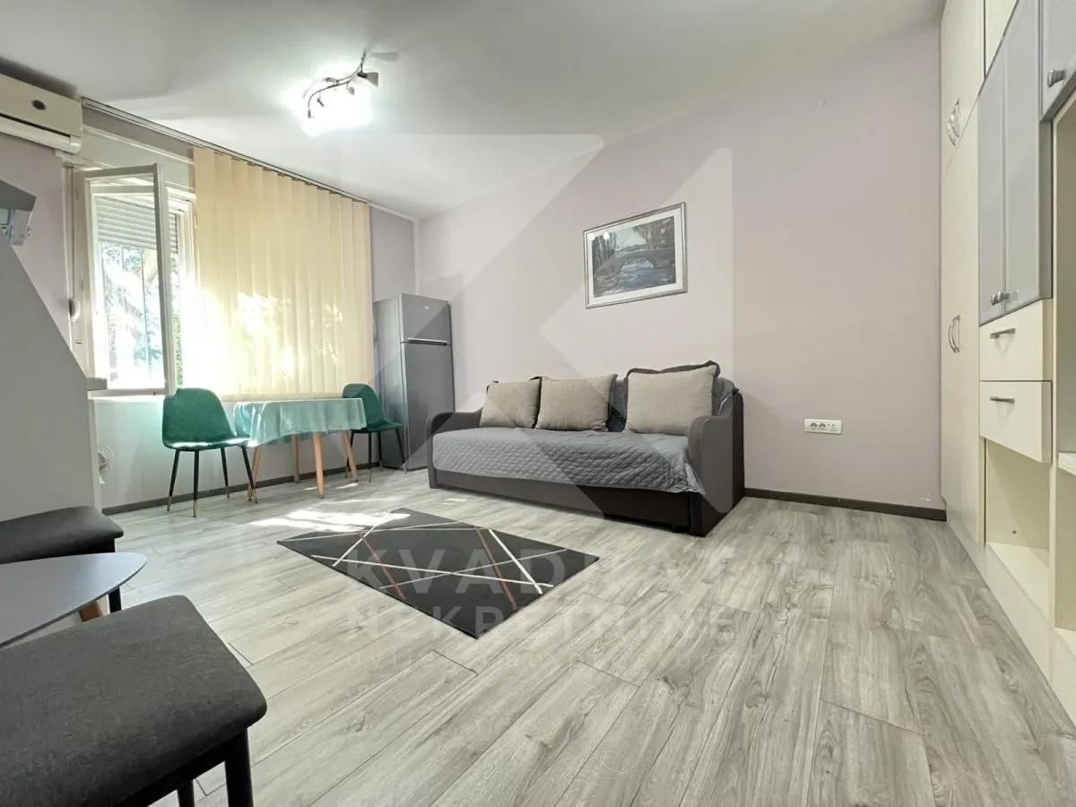 Living room with a sofa bed and a dining area.