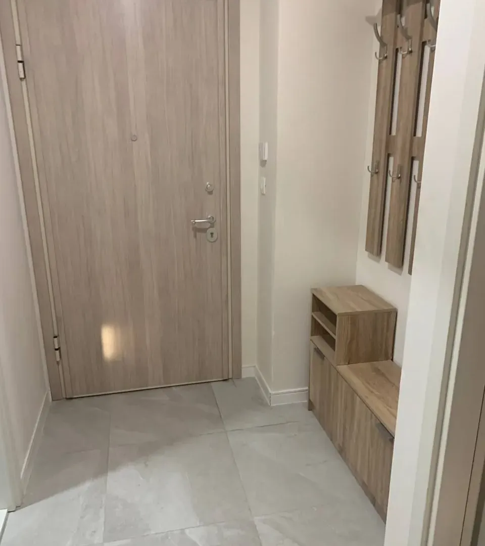 Izdavanje, jednosoban stan, 49m², Central Point, Podgorica