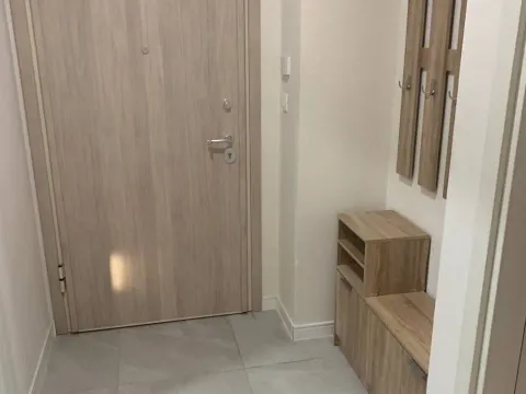 Izdavanje, jednosoban stan, 49m², Central Point, Podgorica - image 9