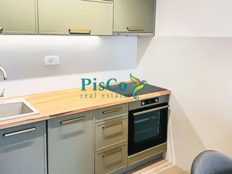 Rent, one bedroom apartment, 40m², Pobrežje, Podgorica - image 5