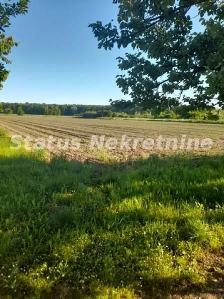 Prodaja, kuća, 194m², Šid, Srbija