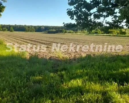 Prodaja, kuća, 194m², Šid, Srbija - image 13