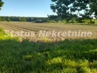 Prodaja, kuća, 194m², Šid, Srbija - image 13