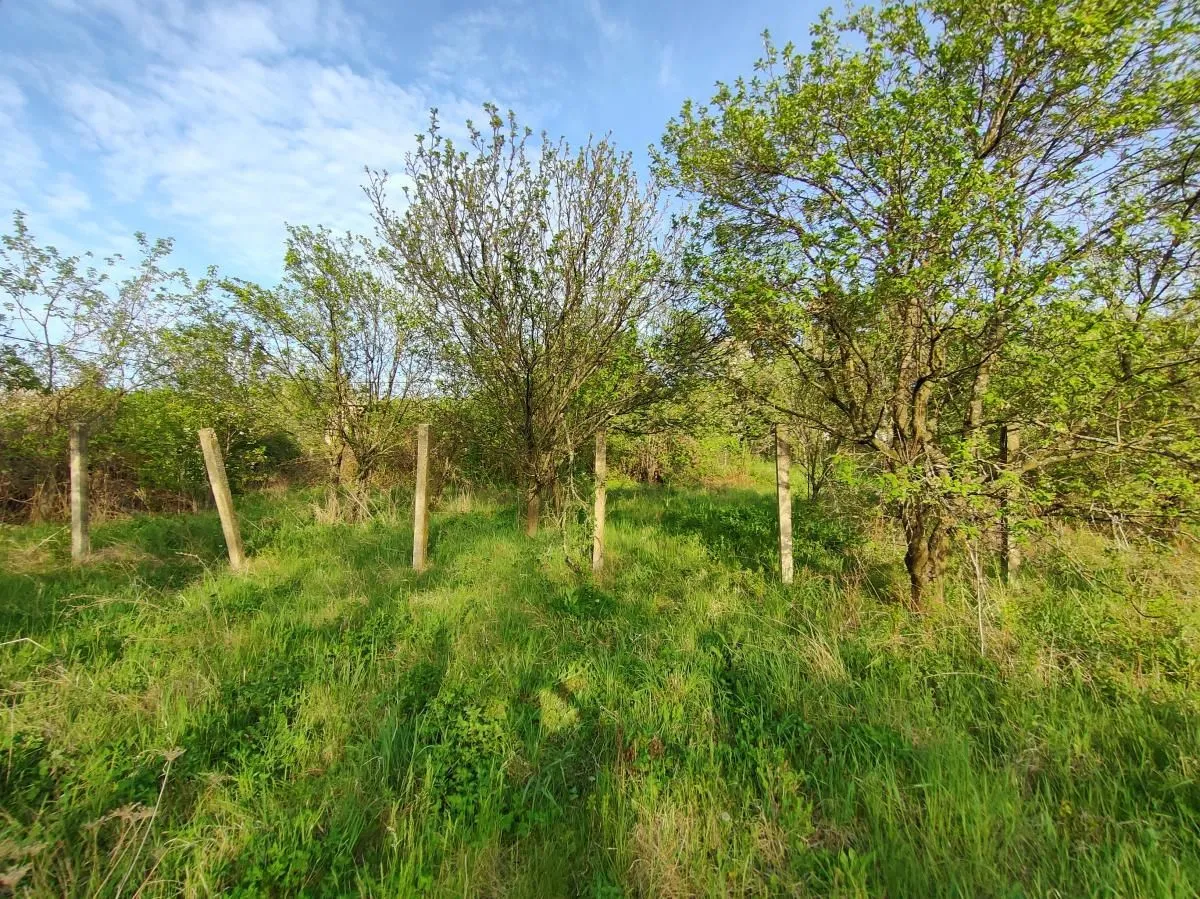 Prodaja, plac, 600m², Sremska Kamenica, Petrovaradin