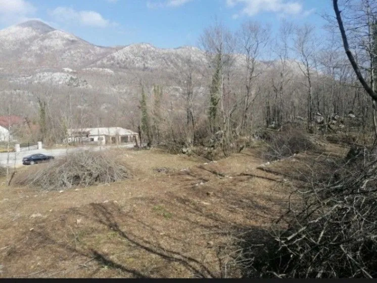 Prodaja, plac, 40000m², Boljevići, Bar