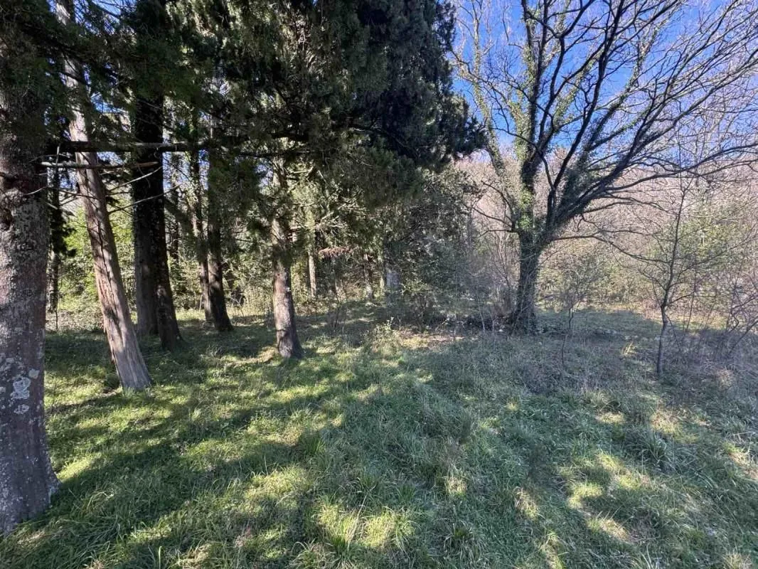 Prodaja, plac, 7800m², Zelenika, Podgorica