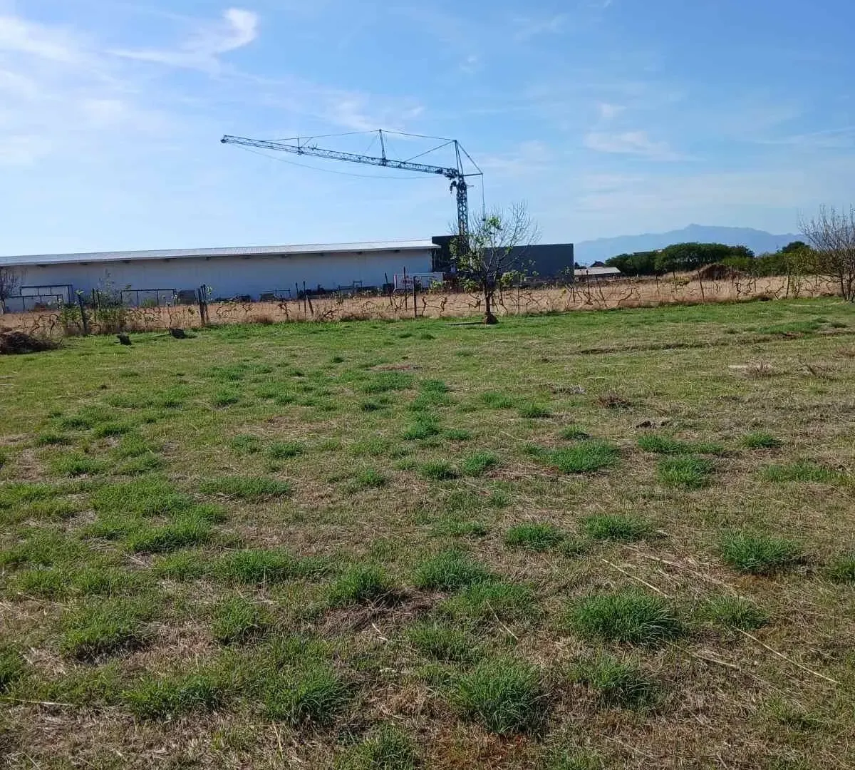 Prodaja, plac, 1562m², Kuće Rakića, Podgorica