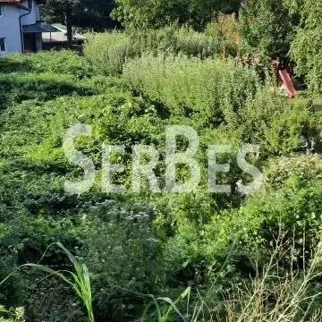 Prodaja, plac, 1087m², Petrovaradin, Novi Sad - image 2