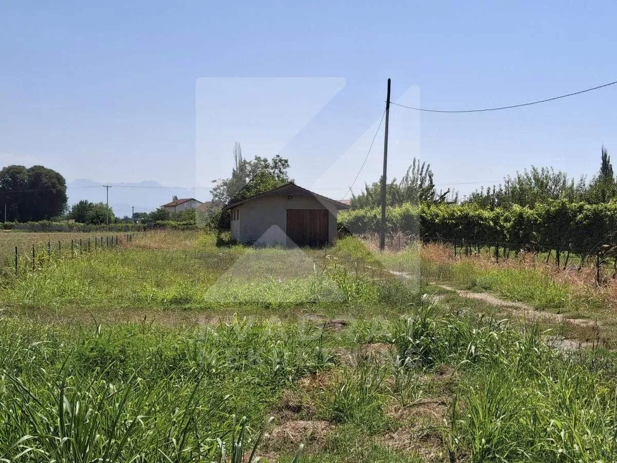 Izdavanje, poslovni prostor, 110m², Zeta, Podgorica