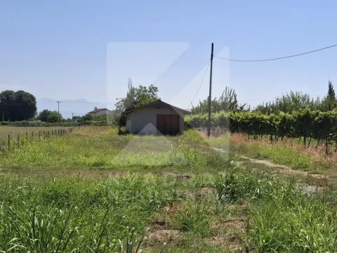 Izdavanje, poslovni prostor, 110m², Zeta, Podgorica - image 3