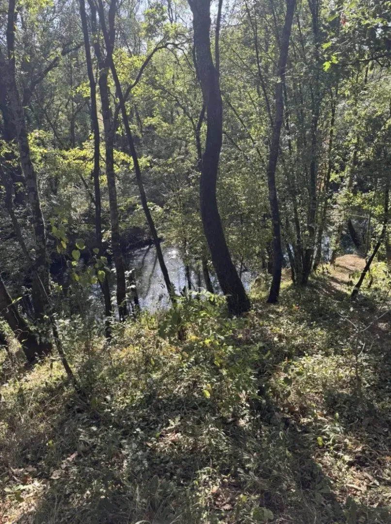 Pogled na šumoviti teren i rijeku na placu.
