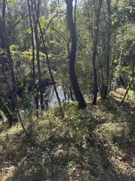 Pogled na šumoviti teren i rijeku na placu. - image 11