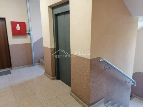 Sale, three bedroom apartment, 71m², Bulbulder, Zvezdara Sve Podlokacije - image 7