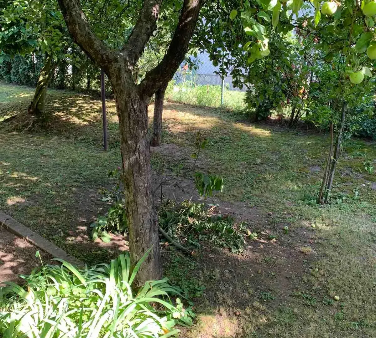 Prodaja, kuća, 65m², Veliki Crljeni, Lazarevac