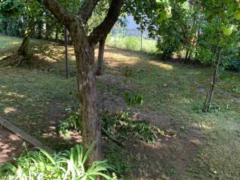 Prodaja, kuća, 65m², Veliki Crljeni, Lazarevac - image 5