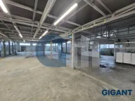 Izdavanje, poslovni prostor, 800m², Čukarica, Beograd - image 4