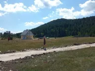 Sale, land lot, 437m², Žabljak, Crna Gora - image 5