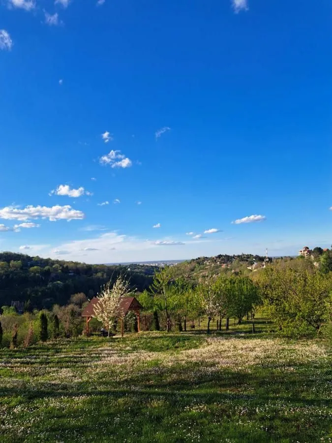 Prodaja, kuća, 180m², Sremska Kamenica, Petrovaradin