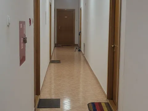 Prodaja, dvosoban stan, 47m², Bulevar Evrope, Novi Sad Sve Podlokacije - image 9