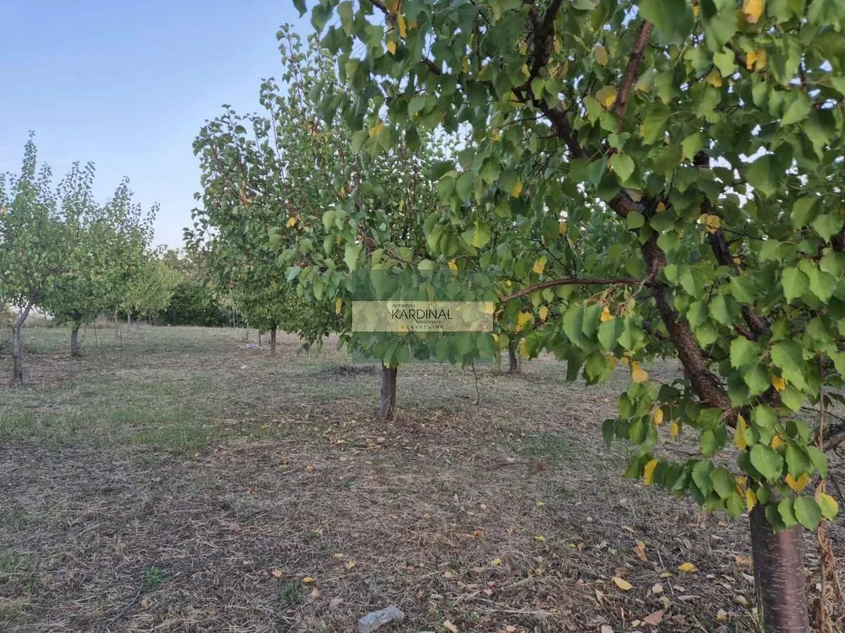 Prodaja, plac, 27920m², Siokovac, Jagodina