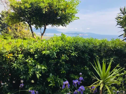 Sale, house, 260m², Zagrađe, Bar - image 9