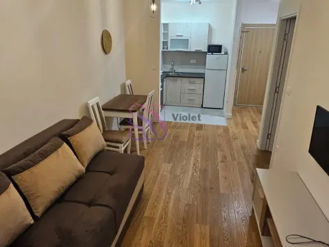 Izdavanje, jednosoban stan, 42m², Central Point, Podgorica - image 9