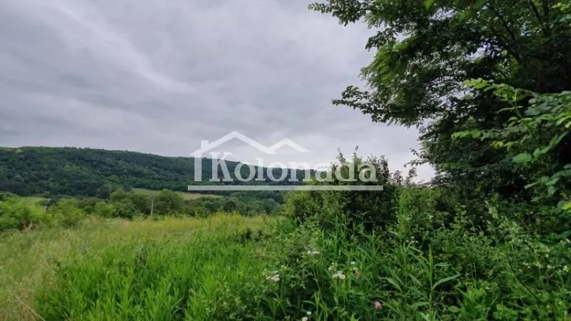 Sale, land lot, Parcani, Sopot