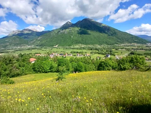 Prodaja, plac, 6000m², Centar, Plav - image 1