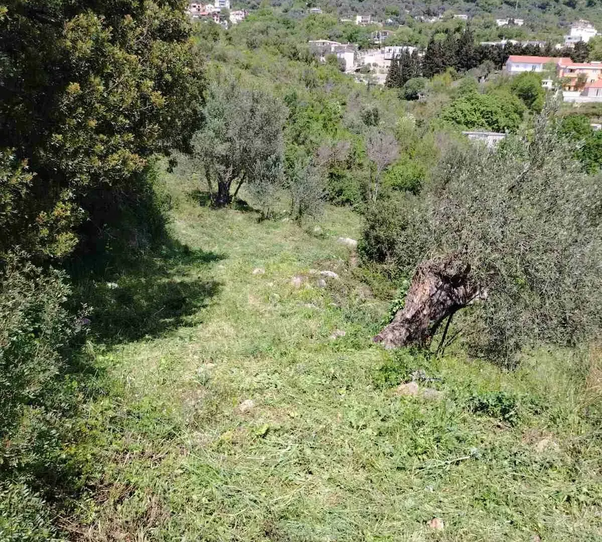 Prodaja, plac, 800m², Zeleni Pojas, Bar