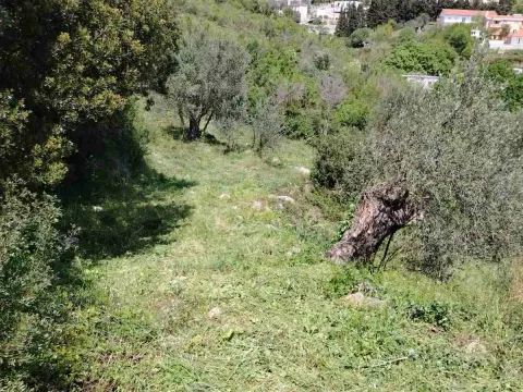 Prodaja, plac, 800m², Zeleni Pojas, Bar - image 4