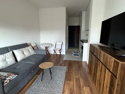 Sale, studio apartment, 26m², Ulcinjsko Polje, Ulcinj - image 5