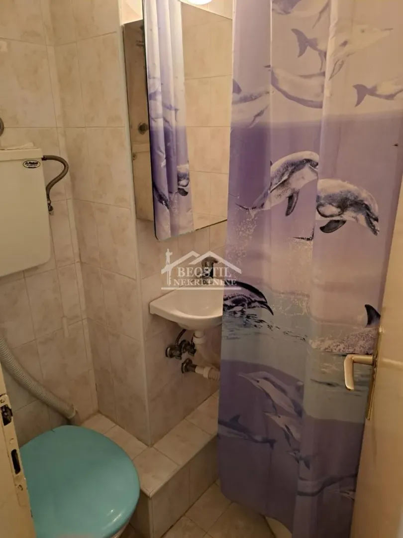 Manje kupatilo sa lavaboom, wc šoljom i tuš kabinom sa zavesom.