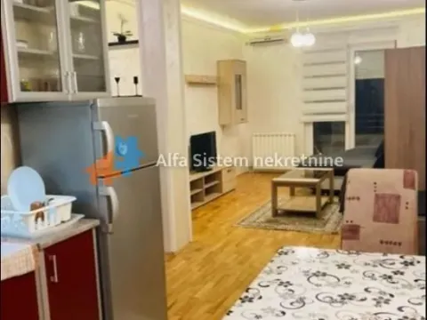 Izdavanje, stan, 40m², Vračar Sve Podlokacije, Beograd - image 4