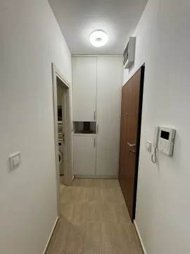 Prodaja, garsonjera, 32m², Maslinjak, Budva - image 5