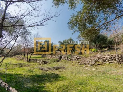 Prodaja, plac, 7125m², Herceg Novi, Crna Gora - image 1