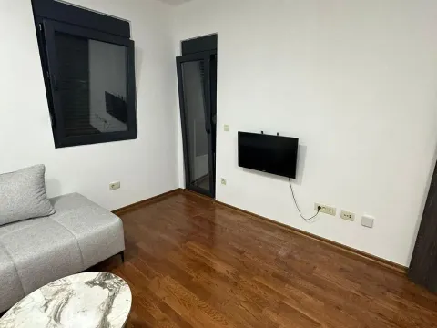 Rent, one bedroom apartment, 45m², Ljubović, Podgorica - image 8