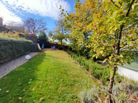 Prodaja, plac, 1300m², Ribnjak, Petrovaradin - image 4