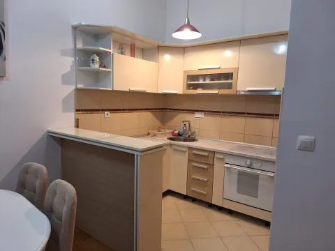 Manja kuhinja sa svijetlim elementima, šankom i ugradnim kućnim aparatima. - image 8