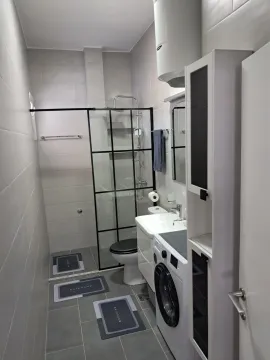 Modernly equipped bathroom with a walk-in shower, washbasin, and washing machine. - image 7