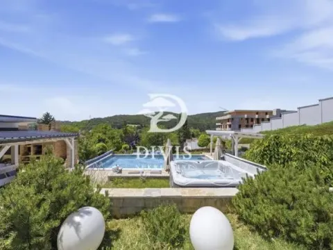 Prodaja, kuća, 421m², Banja Vrdnik, Irig - image 5