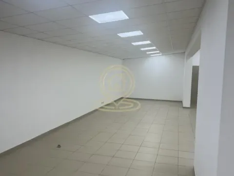 Izdavanje, poslovni prostor, 615m², Dušanovac, Voždovac Sve Podlokacije - image 6