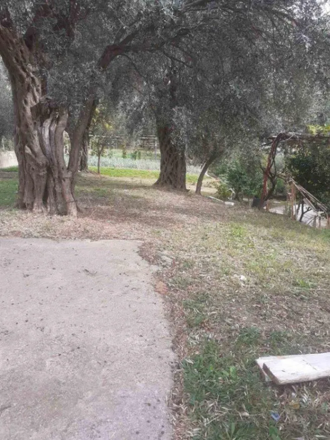 Sale, house, 110m², Stari Bar, Bar