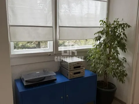 Izdavanje, dvosoban stan, 50m², Šumice, Beograd - image 14