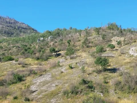 Prodaja, plac, 480000m², Brestice, Nikšić - image 2