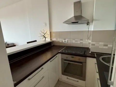 Izdavanje, dvosoban stan, 41m², Stari Grad, Beograd - image 7