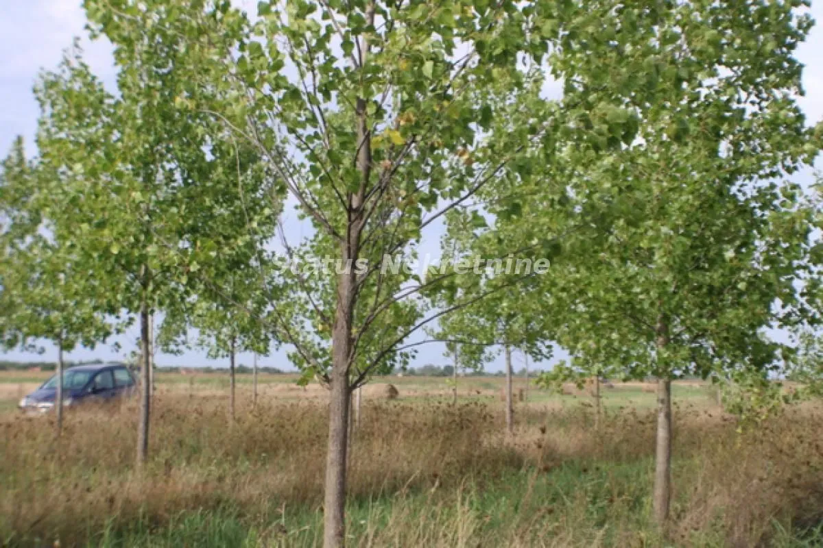 Prodaja, plac, 1378m², Zrenjanin, Srbija