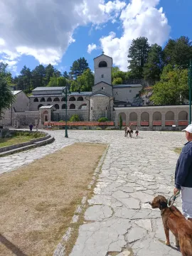 Izdavanje, jednosoban stan, 45m², Gruda, Cetinje - image 17