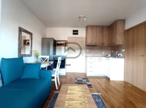 Rent, one bedroom apartment, 35m², Centar, Podgorica - image 2