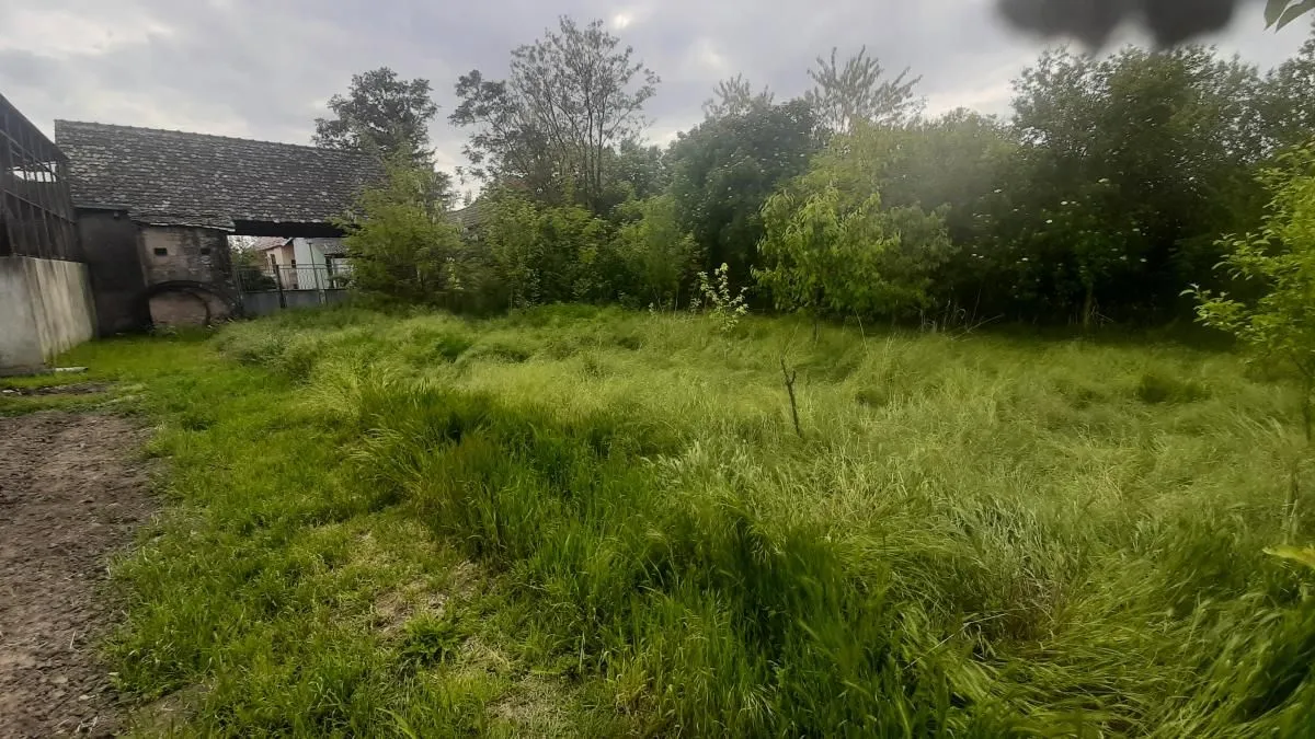 Prodaja, kuća, 205m², Vrbas, Novi Sad