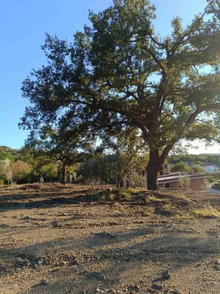 Prodaja, plac, 4250m², Bar, Crna Gora